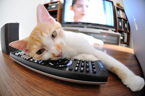 三笘薰的利刃,刺穿瑞典风暴—卡塔尔世界杯上那抹不容忽视的蓝