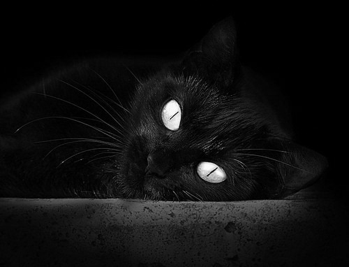 雷火电竞下载-当F1轮胎亲吻法国赛道，一场被足球重新定义的年度争冠战