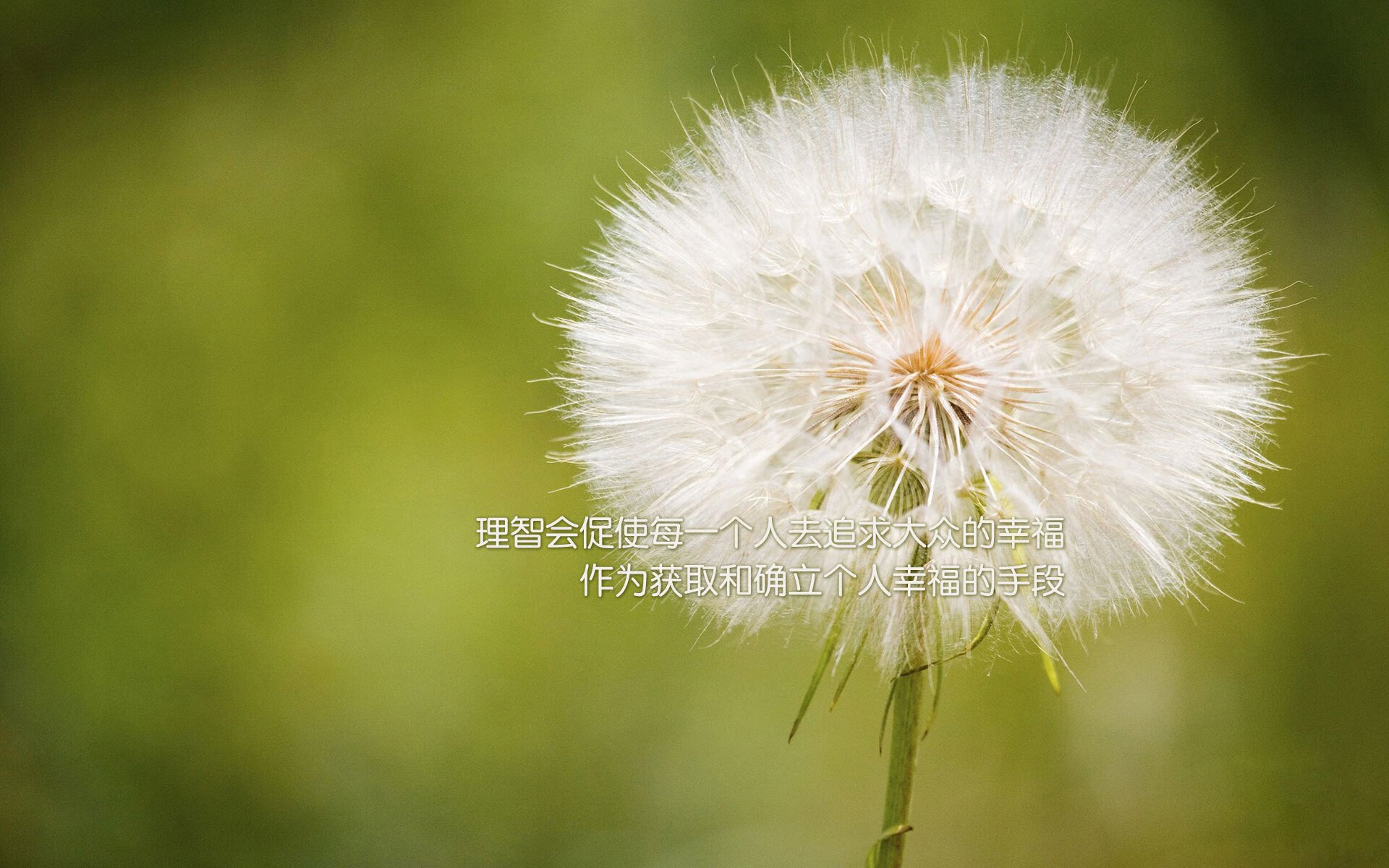 雷火电竞网址-暗夜骑士，加克波在国家德比的逆光时刻