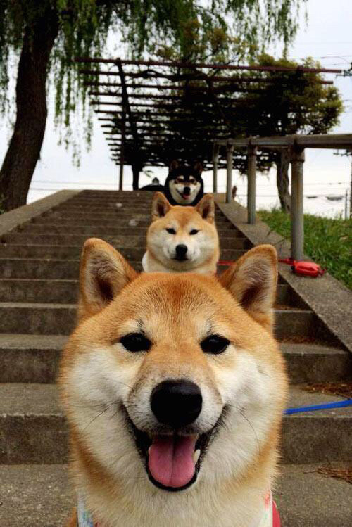 新星一剑封喉,寒流北上袭德甲,卡马文加与苏格兰力量的意外终结艺术