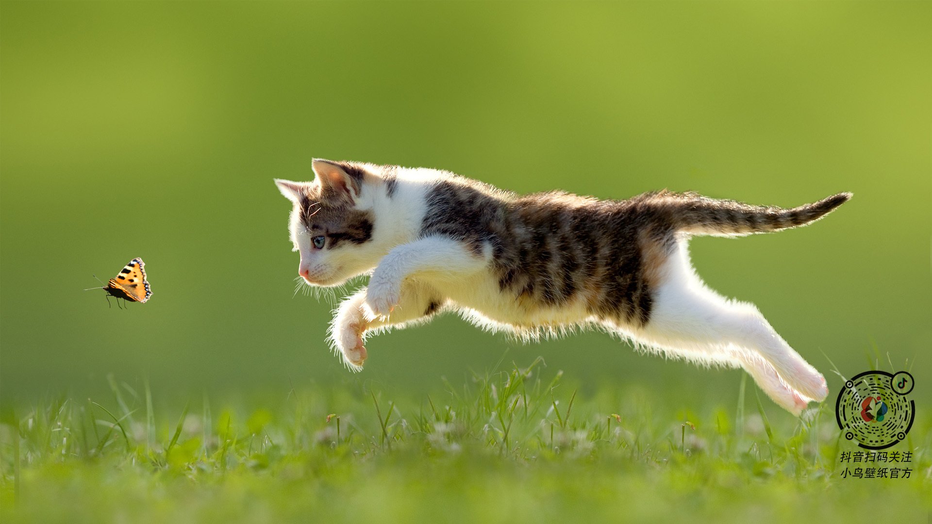 跨维对决，当76人的数据深渊吞噬马刺，莫兰特在算法裂缝中加冕为王