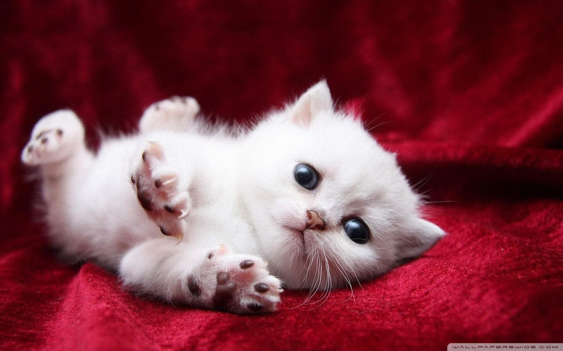 冰火交锋，76人险胜之夜，小贾伦如何从冰封到封神？