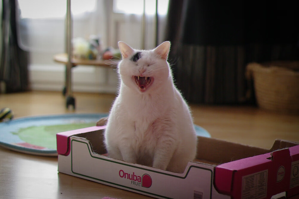 帝国余晖下的致命一击,阿圭罗补时绝杀,罗马军团险胜瑞士雇佣兵