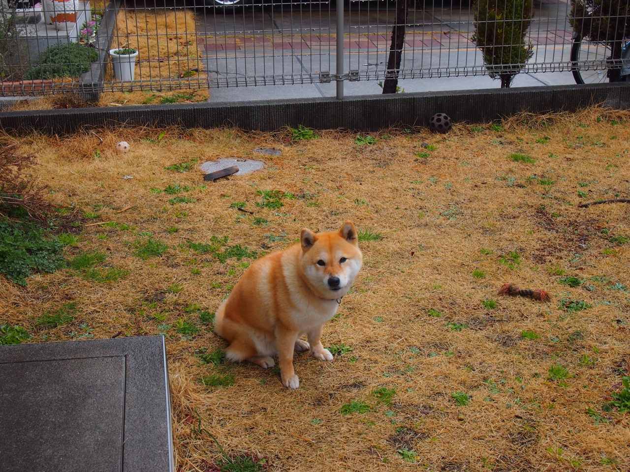 温布利上空的广陵散,当帕尔默用东方智慧导演曼城大逆转