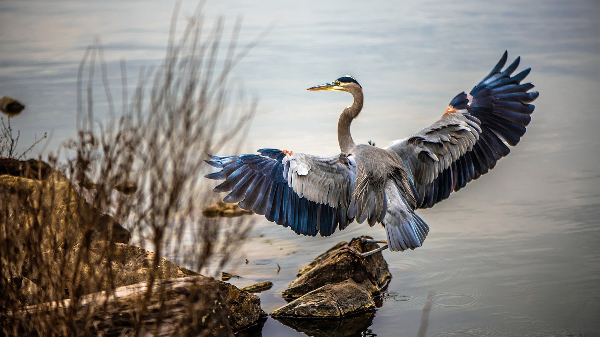 唯一性的证明,当太阳在CBA爆发,爱德华兹在欧冠闪耀